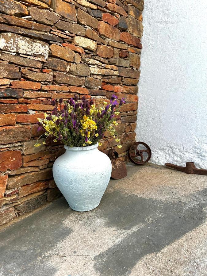 Casa Da Cerca Apartment Corte do Pinto Екстериор снимка