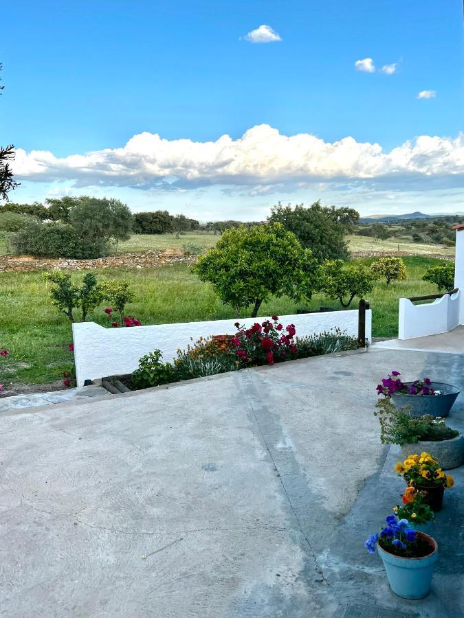 Casa Da Cerca Apartment Corte do Pinto Екстериор снимка